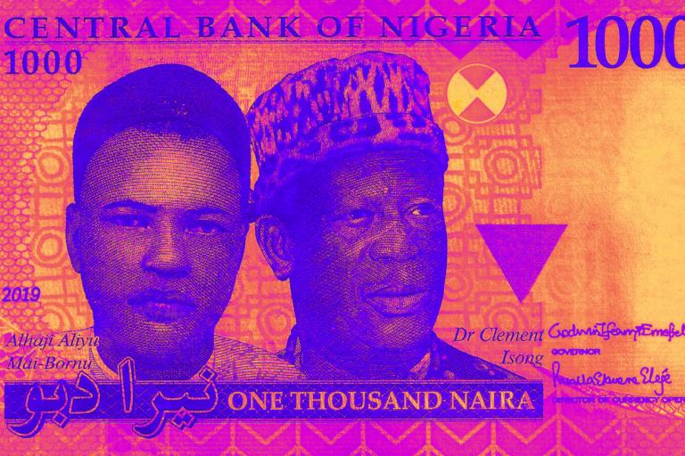 Navigating the Naira Crisis