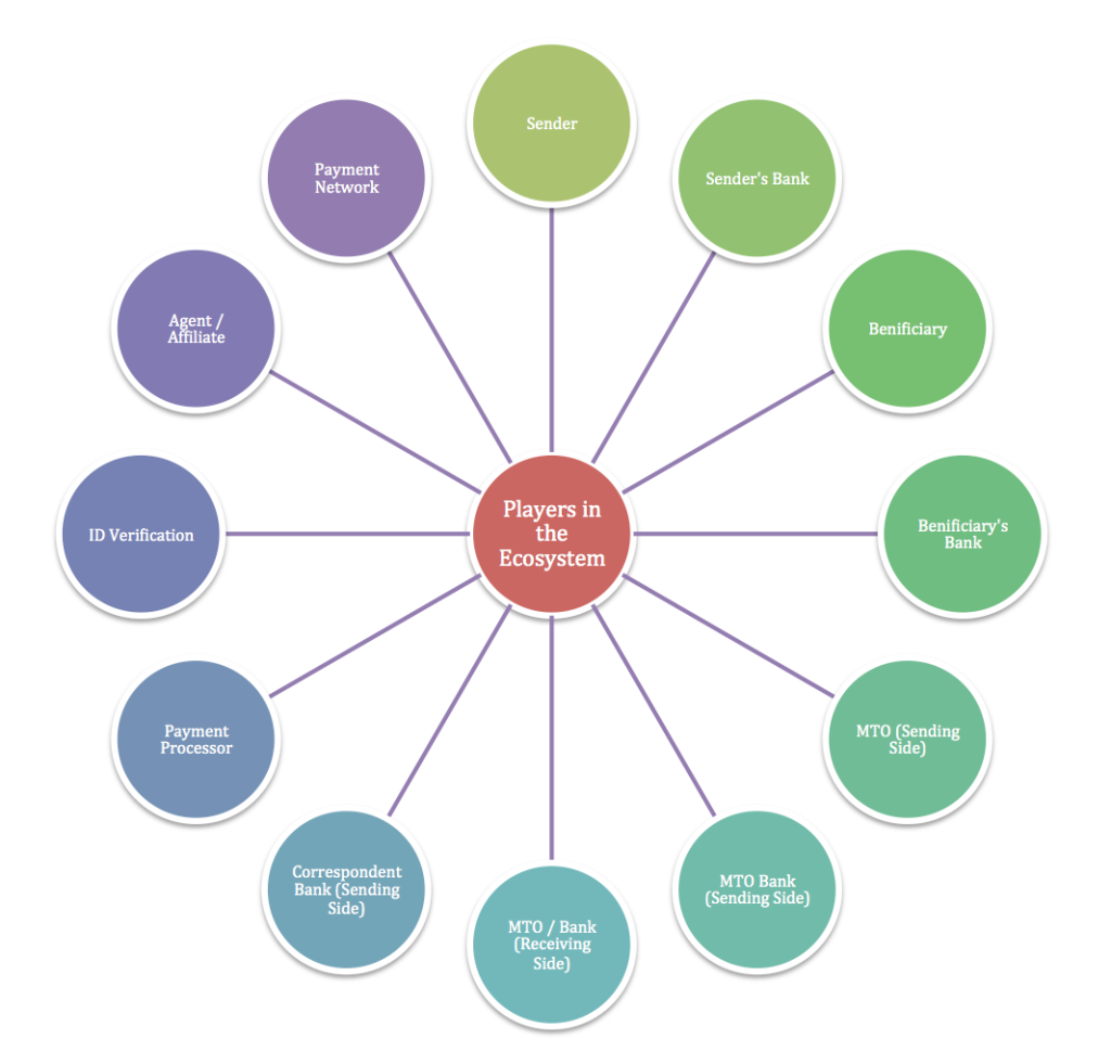 Players in the Money Transmitter Licensing Ecosystem