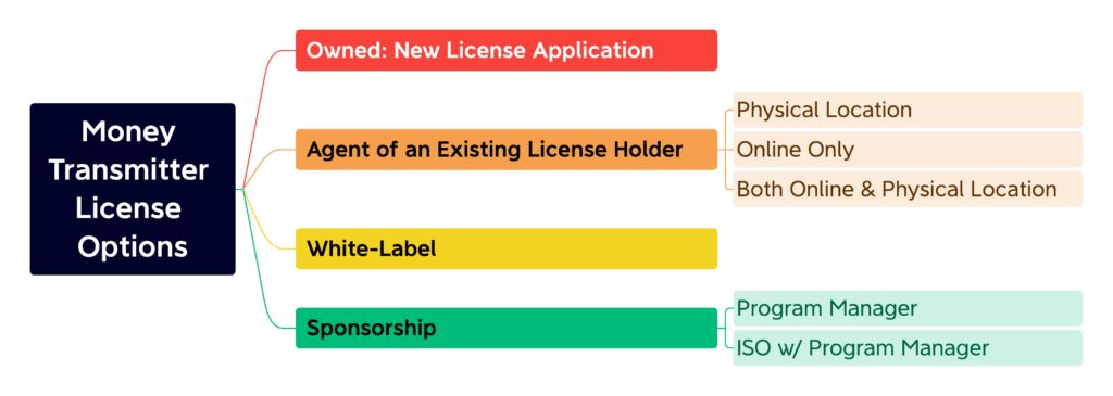 US Money Transmitter License Options