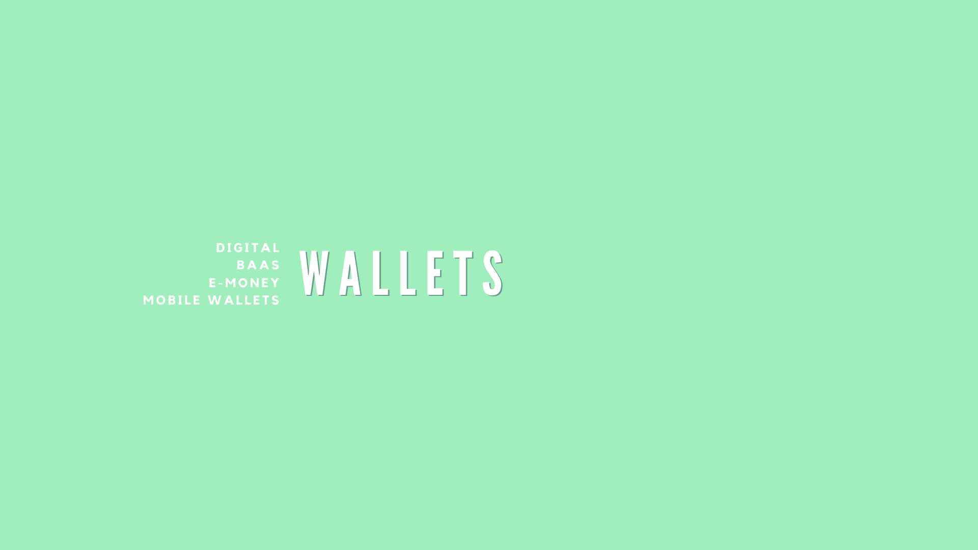 WALLETS - FAISAL KHAN LLC